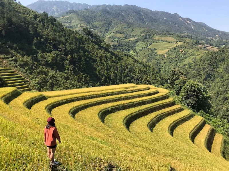 Du lịch Mù Cang Chải - TravelEasy