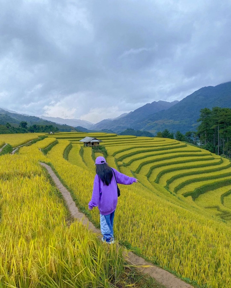 Du lịch Mù Cang Chải - TravelEasy