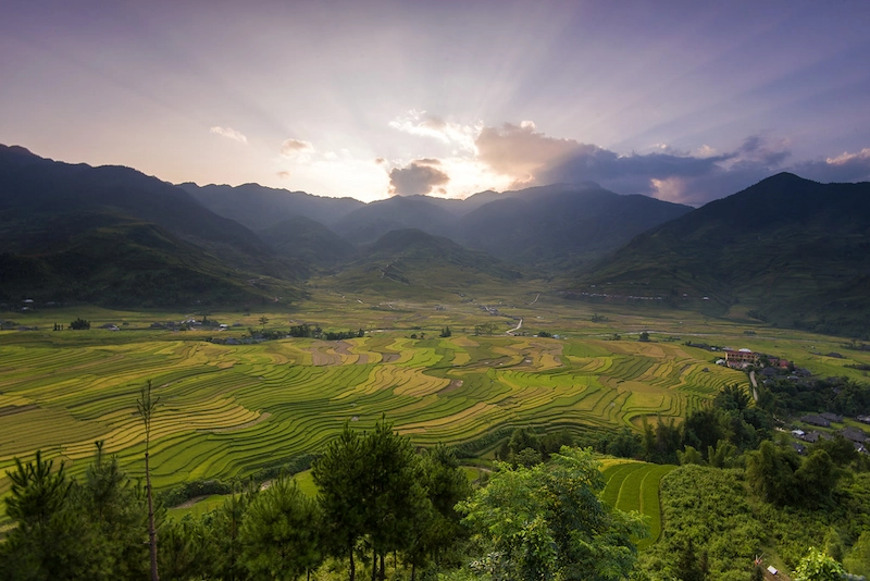 Du lịch Mù Cang Chải - TravelEasy