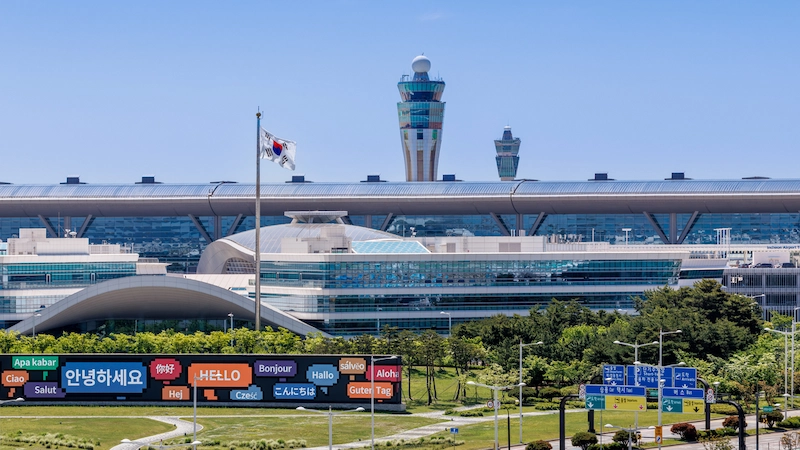 Đặt vé máy bay Tết Hàn Quốc Việt Nam giá rẻ ngay trên TravelEasy