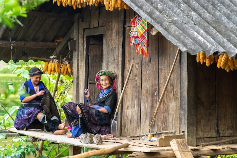 Du lịch Mù Cang Chải - TravelEasy