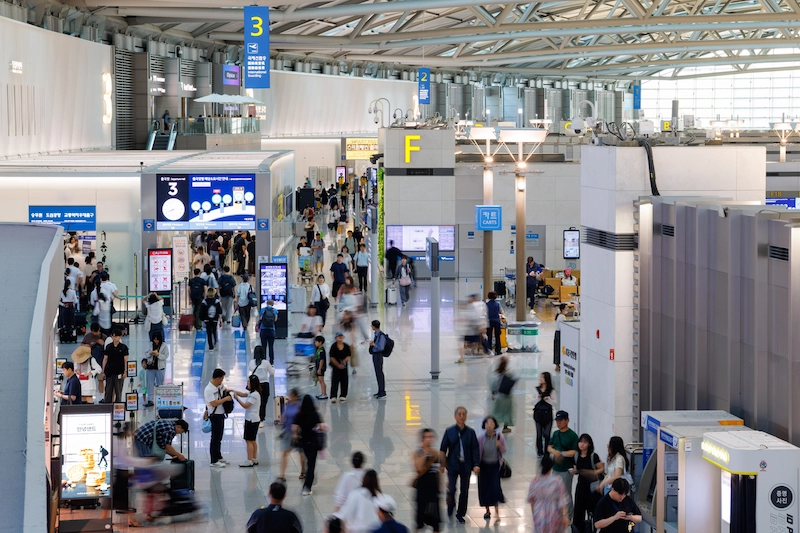 Đặt vé máy bay Tết Hàn Quốc Việt Nam giá rẻ ngay trên TravelEasy