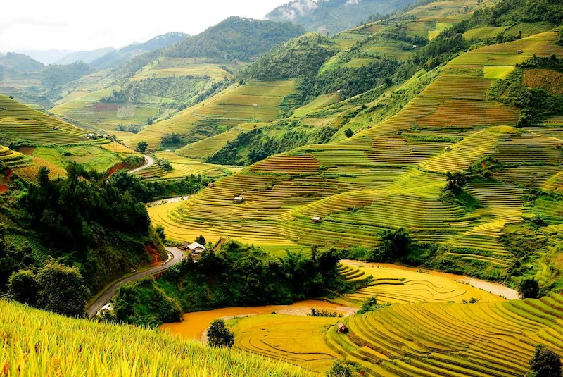 Du lịch Mù Cang Chải - TravelEasy