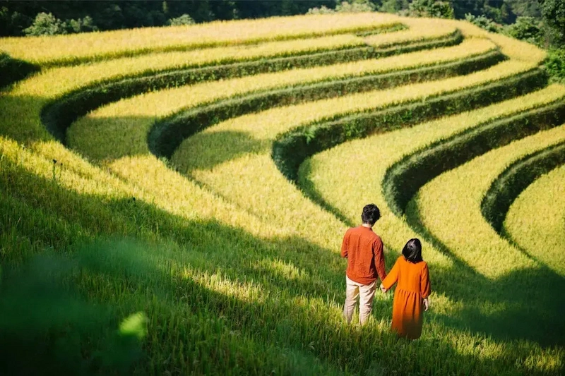 Du lịch Mù Cang Chải - TravelEasy