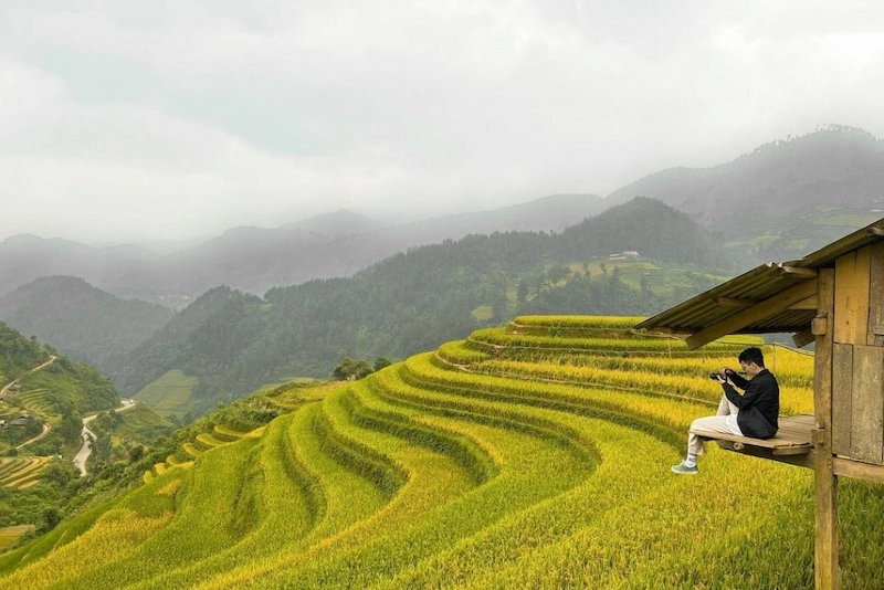 Du lịch Mù Cang Chải - TravelEasy