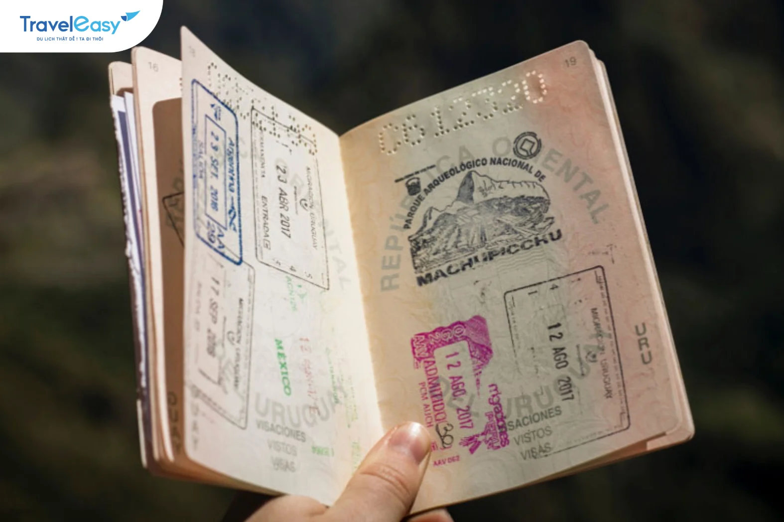 Visa định cư khác gì visa không định cư?