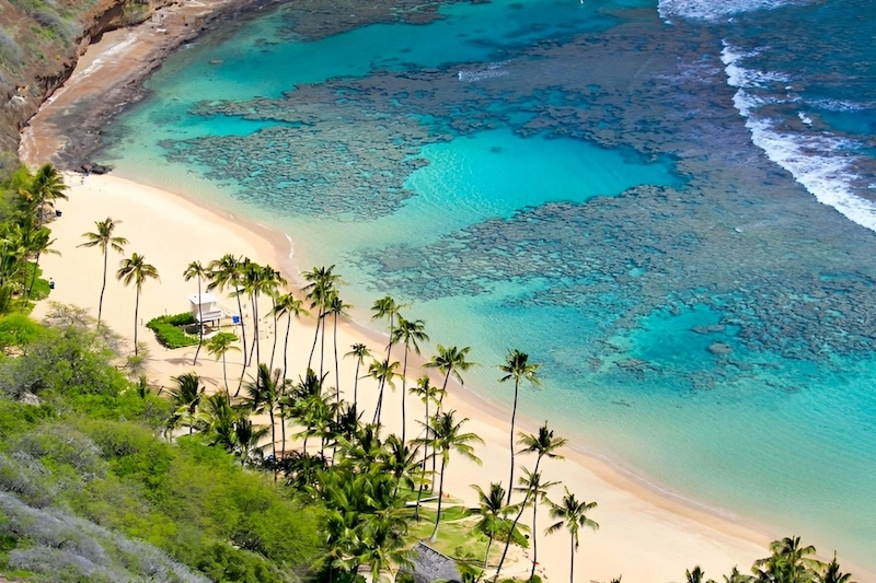 Kinh nghiệm du lịch Cù Lao Chàm tự túc chi tiết từ A đến Z - TravelEasy
