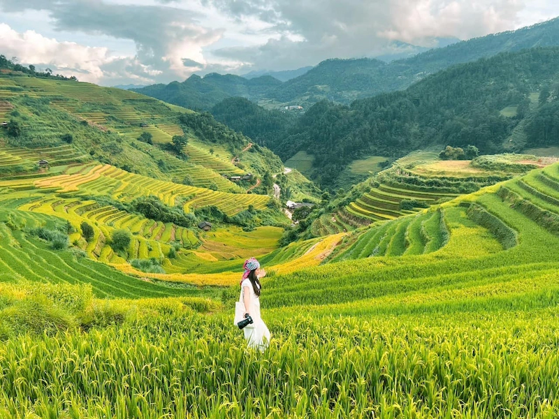 Du lịch Mù Cang Chải - TravelEasy