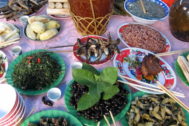 Du lịch Hòa Bắc Đà Nẵng: Điểm cắm trại "chữa lành" lý tưởng - TravelEasy