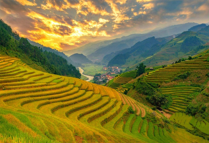 Du lịch Mù Cang Chải - TravelEasy