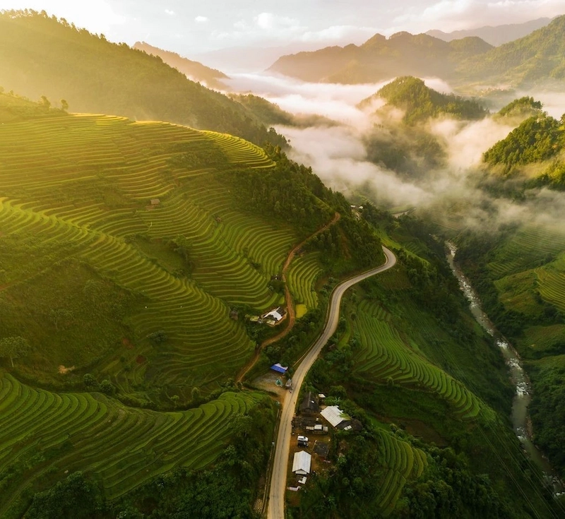 Du lịch Mù Cang Chải - TravelEasy