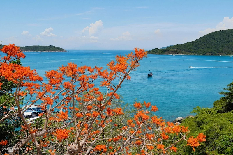 Kinh nghiệm du lịch Cù Lao Chàm tự túc chi tiết từ A đến Z - TravelEasy