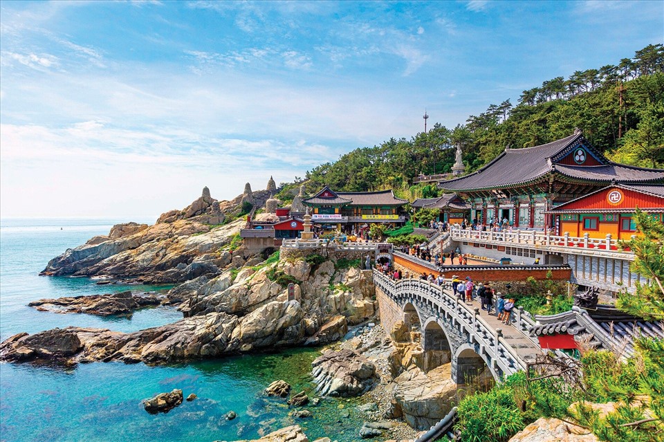 Vé máy bay đi giá tốt