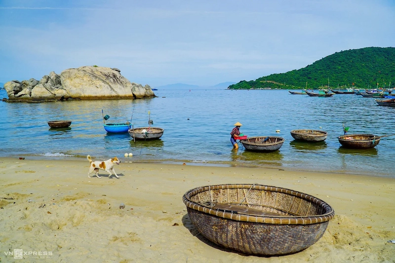 Kinh nghiệm du lịch Cù Lao Chàm tự túc chi tiết từ A đến Z - TravelEasy