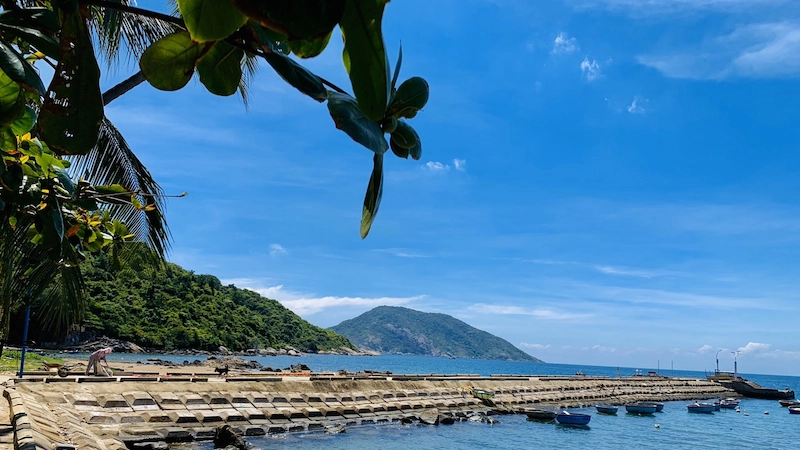 Kinh nghiệm du lịch Cù Lao Chàm tự túc chi tiết từ A đến Z - TravelEasy
