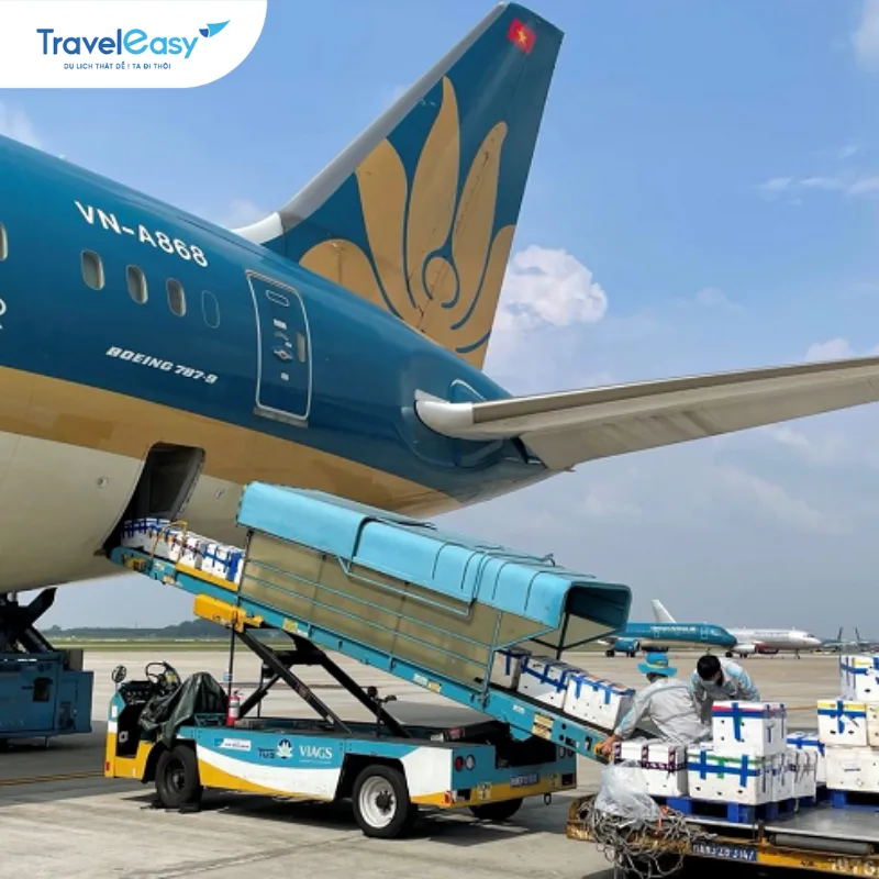 Chuyến bay Cargo Charter chuyên chở hàng hóa khối lượng lớn của VIAGS