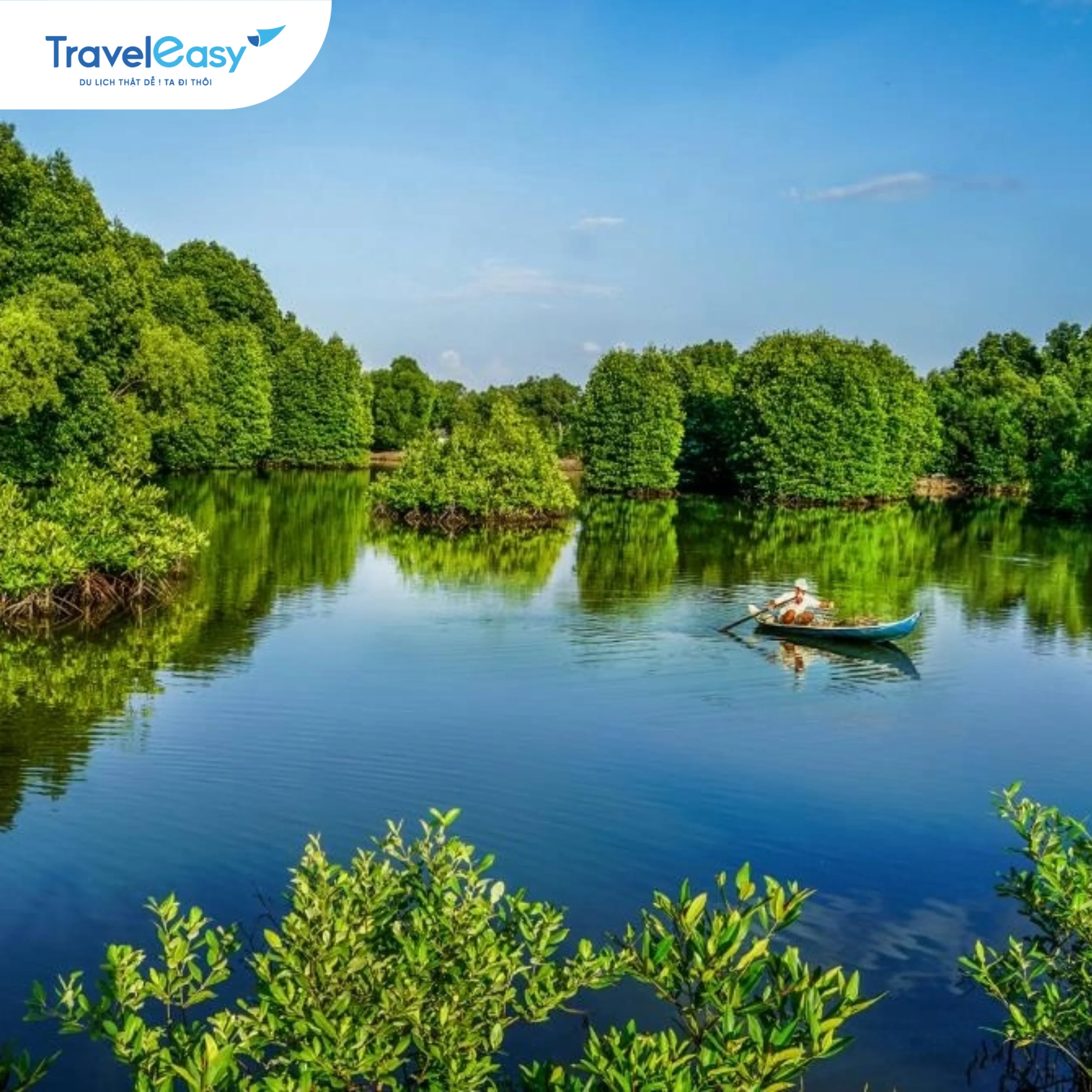 Rừng đước ở Cà Mau