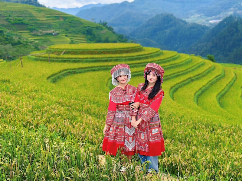 Du lịch Mù Cang Chải - TravelEasy